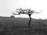 perovo-tauric3.JPG - 